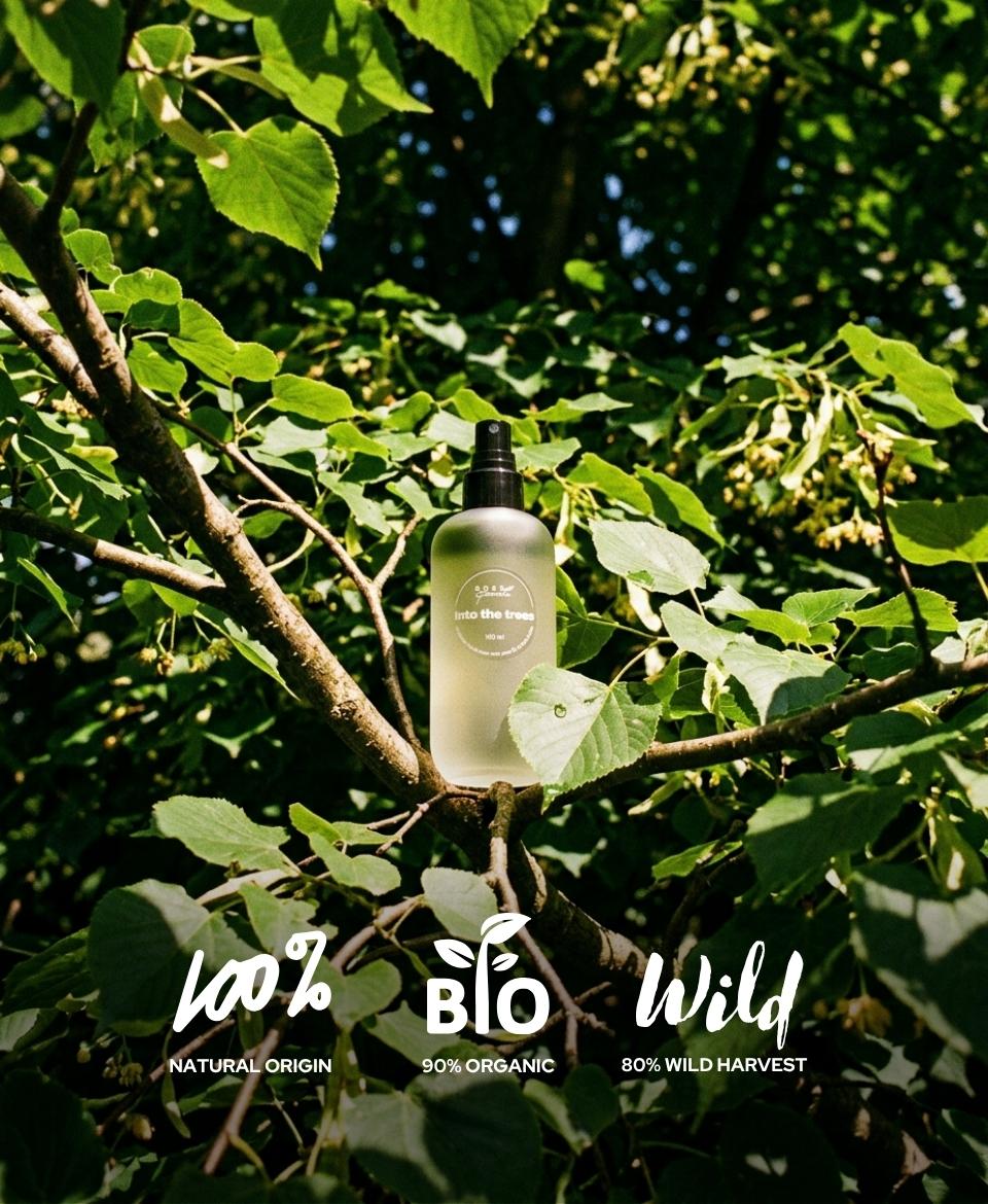 Into the trees • nawilżająca esencja z aloesem i prebiotykami - obrazek 2